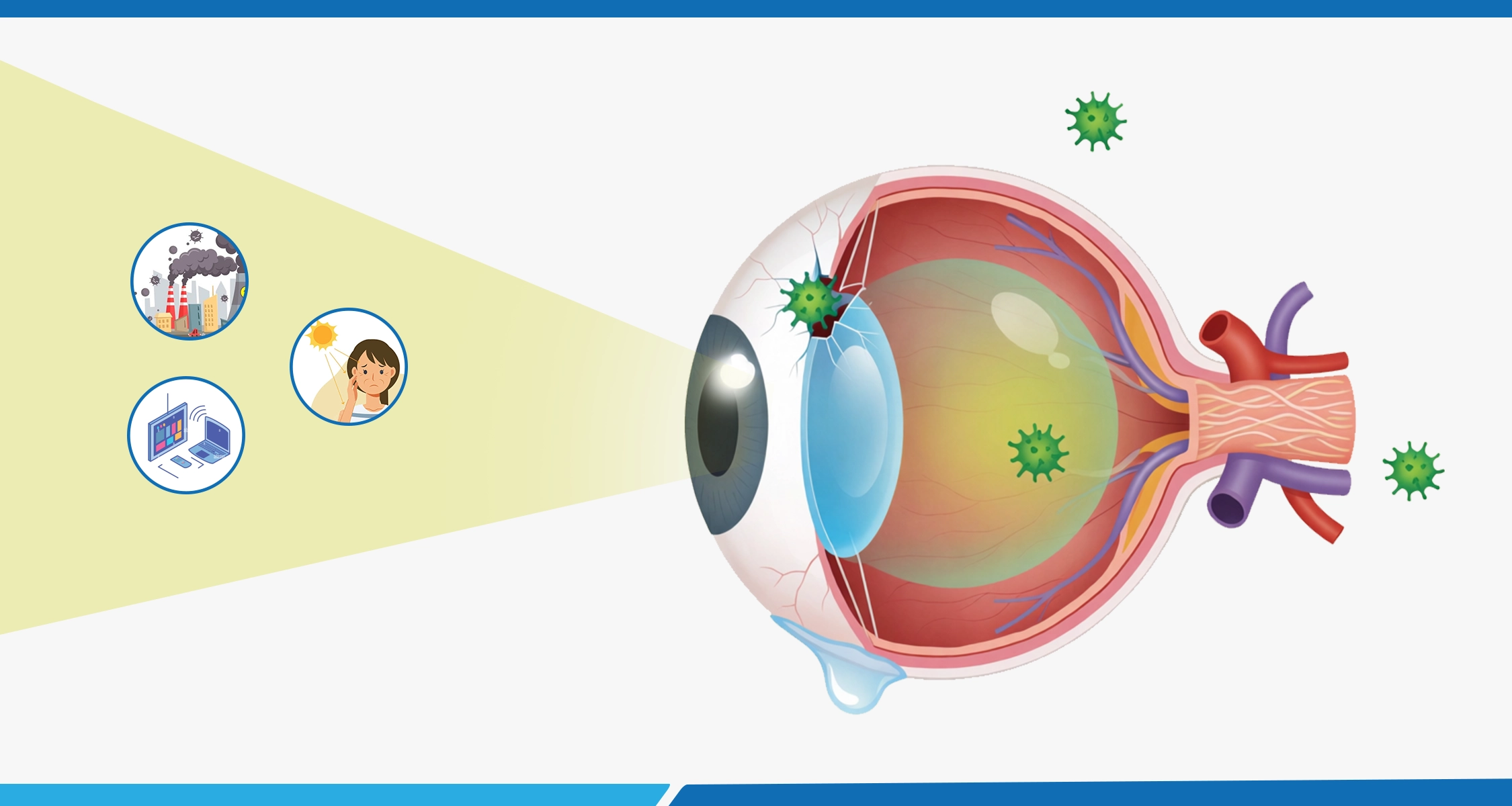 Antioxidants and Eye Health: How They Help Protect Your Vision